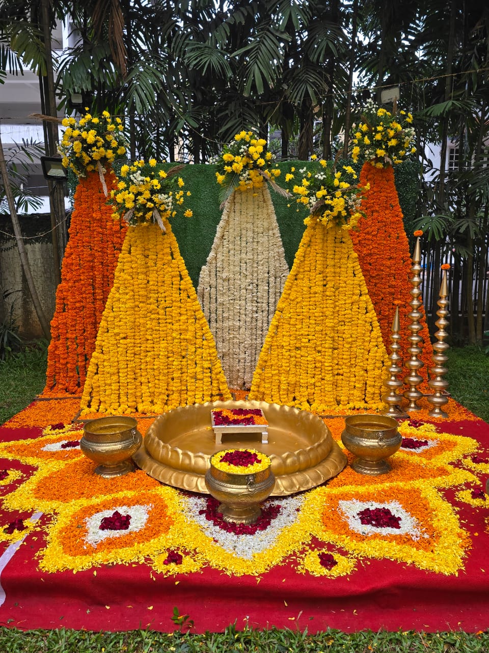 Professional Cameras